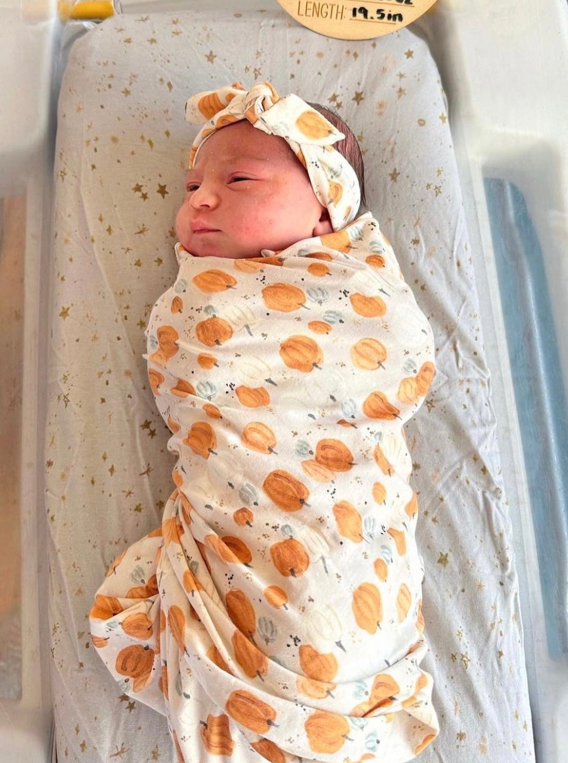 Pumpkin Patch - Organic Newborn Nest